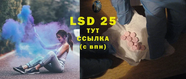 молекула духа Богданович