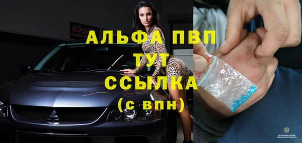 молекула духа Богданович