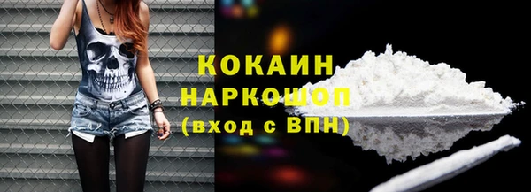 молекула духа Богданович