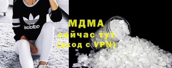 прущие грибы Бронницы