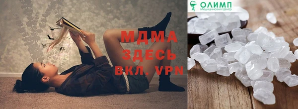молекула духа Богданович