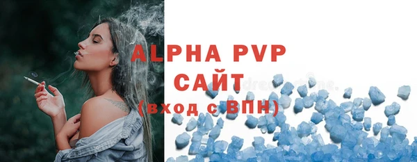 прущие грибы Бронницы