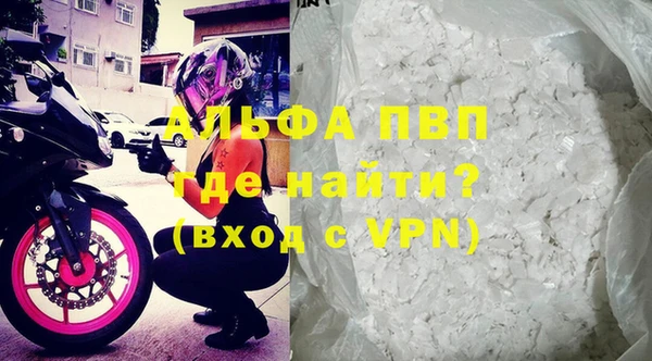молекула духа Богданович