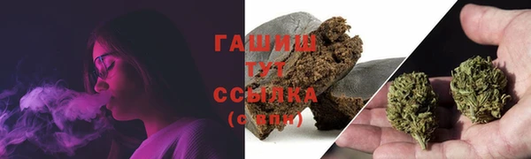 молекула духа Богданович