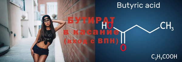 молекула духа Богданович