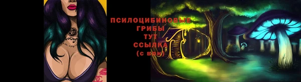 молекула духа Богданович