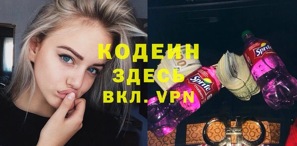 мет Бородино